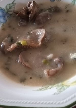 A picture of Gizzard Soup.