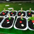 Puding Coklat Kuburan