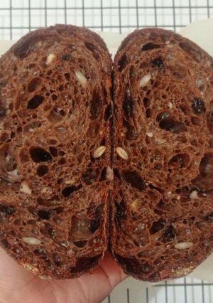 Foto resep Multi Seeds Double Chocolate Sourdough Bread (Oven Tangkring)