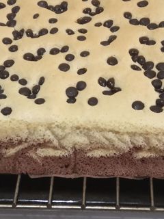 Foto resep Castella cake