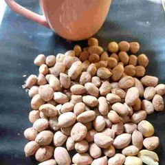 A picture of Roasted peanuts.