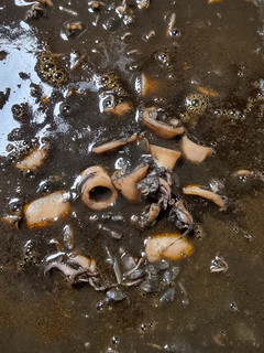 Una foto de TM31 Calamares a la americana