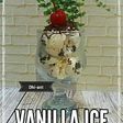Vanilla ice cream