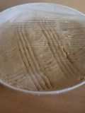 Crema de garbanzos