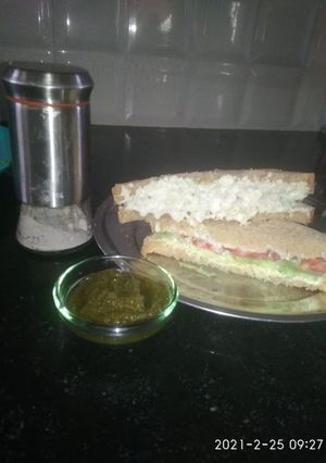 A picture of Veg sandwich.