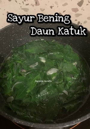 Foto resep Sayur Bening Daun Katuk