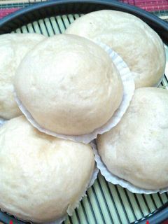 Foto resep Bakpao no mixer/ulen