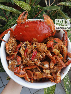 Foto resep Kepiting saus padang