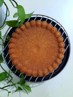 عکسی از دستور کیک ساده پنبه ای