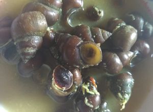 Foto resep Kreco masak kelapa