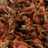 Balado Teri Kacang