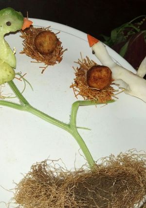 A picture of Potato Cheese Balls on a Bird Nest.