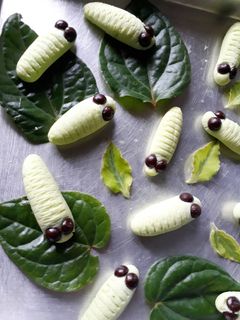 Foto resep Caterpillar Cookies (Kue Ulat) 🐛