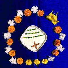 A picture of Shrikhand.