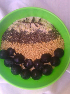 A picture of Blueberry Chia Overnight Oats.