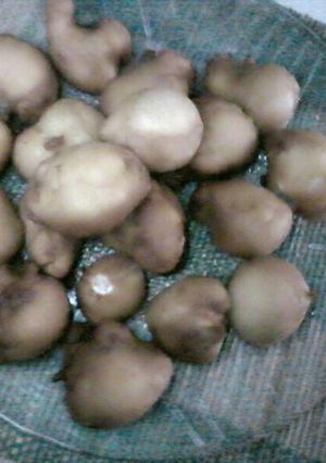 Una foto de Buñuelitos de limón