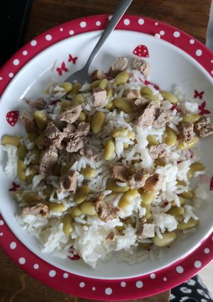 Une photo de Agneau riz et flageolets