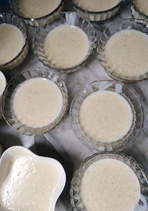 A picture of Rice Pudding.