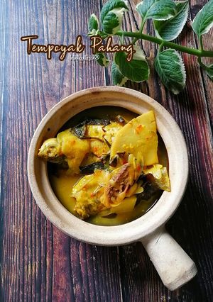 Gambar Tempoyak Pahang