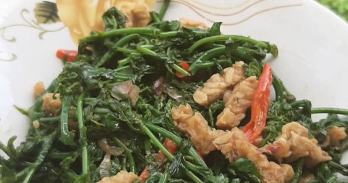 685 Resep Sayur Pakis Enak Dan Sederhana Cookpad