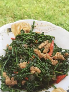 Foto resep Oseng Sayur Pakis dan Tempe