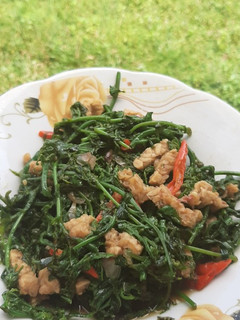 Foto resep Oseng Sayur Pakis dan Tempe