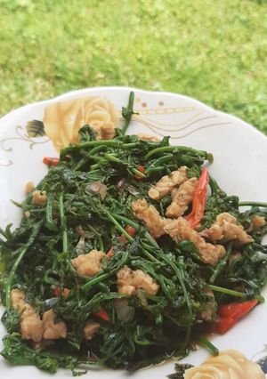 Foto resep Oseng Sayur Pakis dan Tempe