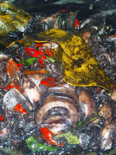 Foto resep Cumi masak hitam