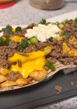 A picture of Nacho fries.