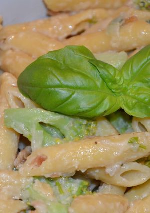 Foto resep One Pot Creamy Penne Broccoli