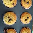 Keto chocolate chip muffin