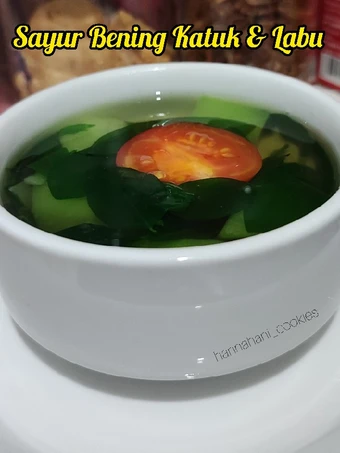 Cara Simple Membikin Resep  Sayur Bening Katuk Dan Labu Siam yang Lezat Sekali, Bisa Manjain Lidah