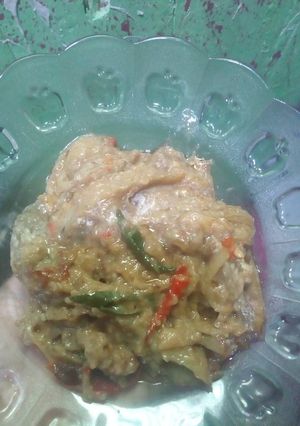 Foto resep Terong santan mantappp