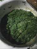 Pumpkin and Managu Vegetables