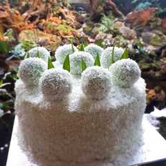 รูปของ KLEPON CAKE (with pandan chiffon cake)