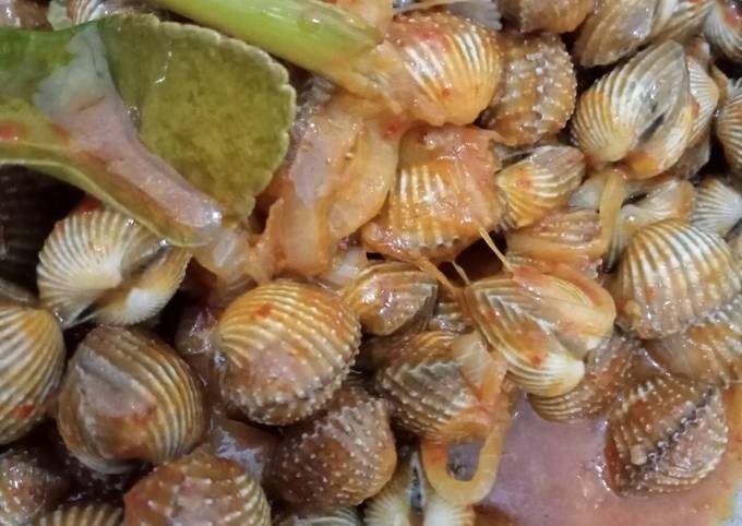 Cara bikin Kerang dara saos padang Cara bikin Kerang dara saos padang