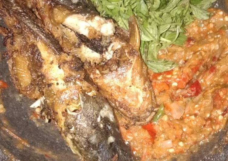 Pecel lele alla anak kos