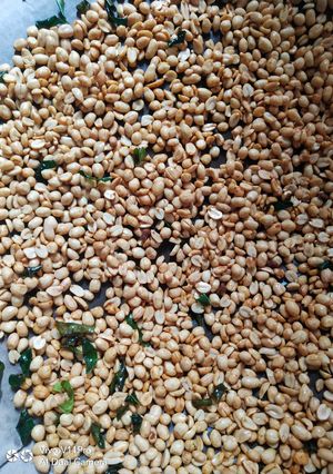 Foto resep Kacang Bawang daun jeruk