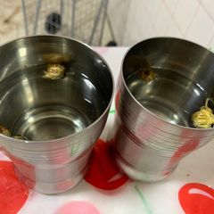 A picture of Crysanthemum tea.
