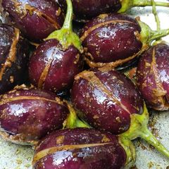 A picture of Title : stuffed brinjal.
