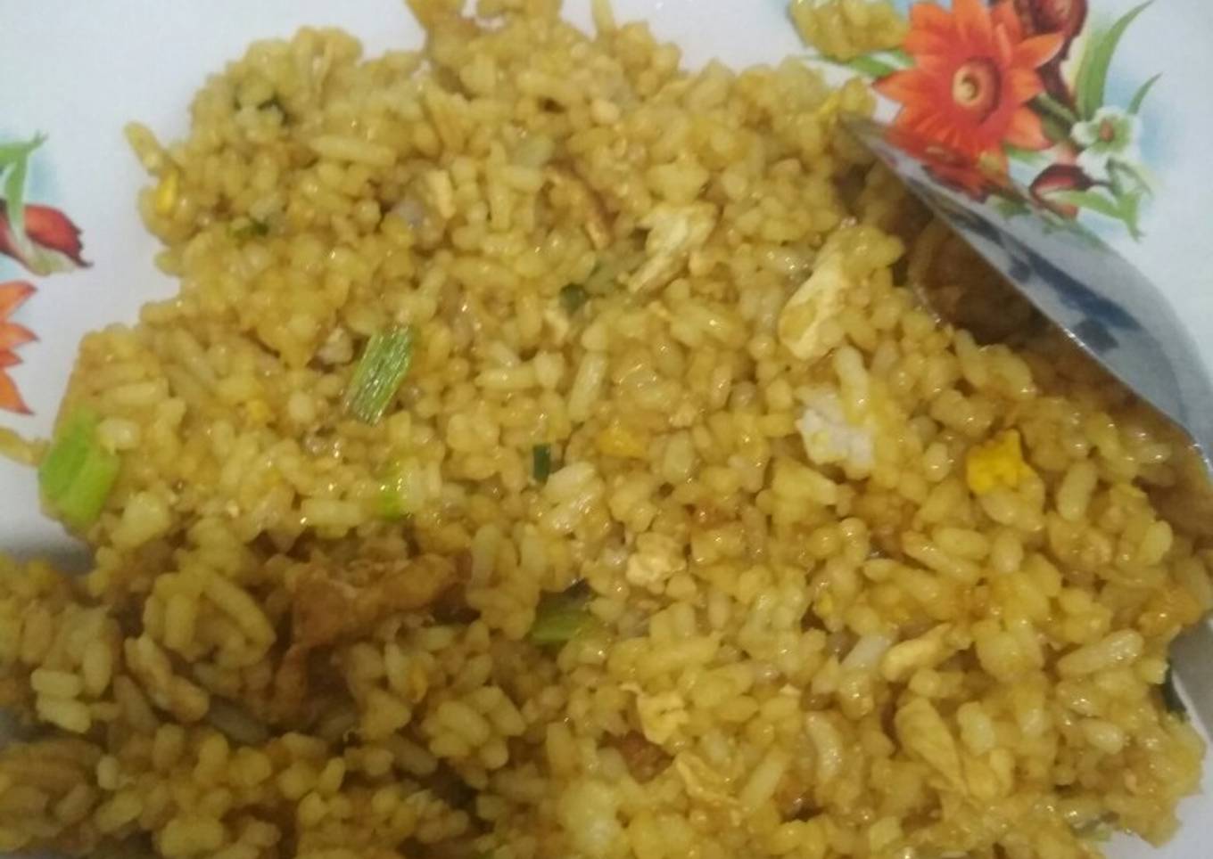 Nasi goreng biasa