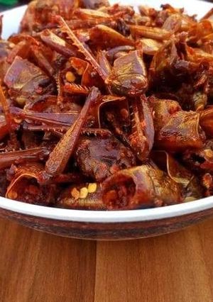 A picture of Fried grasshopper AKA Fara.