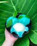 Bánh Bao Trái Quýt