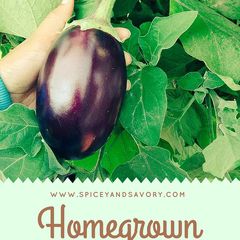 A picture of Smoked Aubergine.
