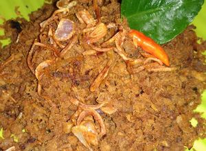 Foto resep Daging Suwir Manis (Daging Nasi Krawu)