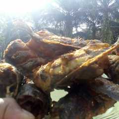 รูปของ Lele goreng 😄