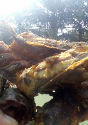 Foto resep Lele goreng 😄