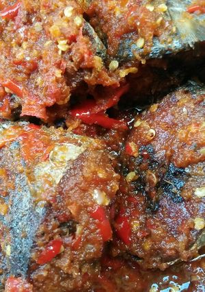 Foto resep Tongkol Sambal Terasi