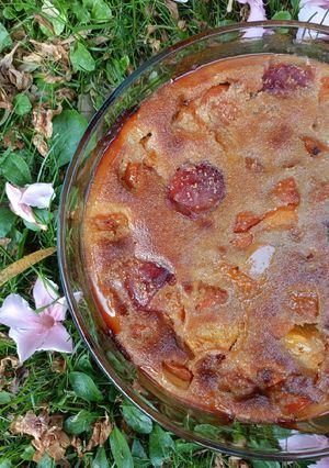 Une photo de 🌱 Clafoutis aux abricots