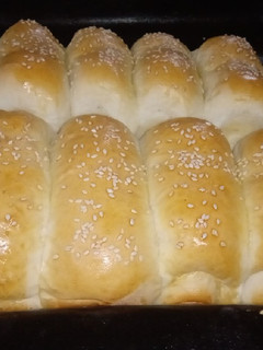 Una foto de Pan para Pancho